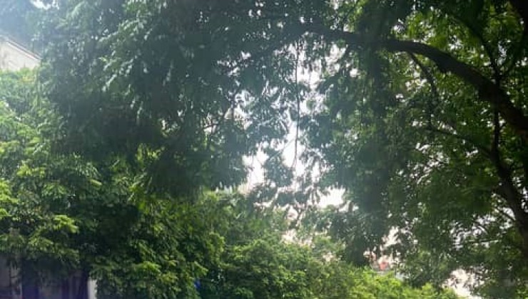 bán đất phù khê đại an 100m2 giá bán 89 triệu m2 
liên hệ 083.2865.116